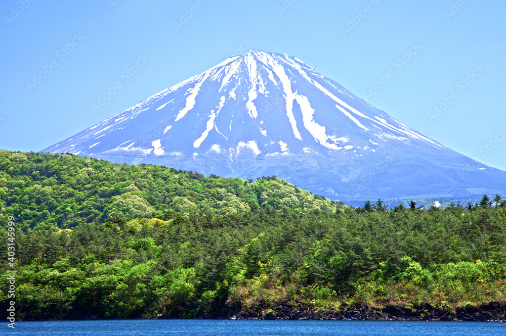 Fototapeta premium japan, saiko, lake, fuji, fujisan, mount, lakes, five, yamanashi, japanese, capped, snow, mountain, line of boats, water, sky, boats, vacation, lake, landscape, no people, holiday, mt, volcano, prefec