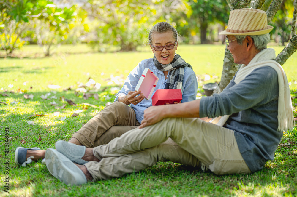 Senior, couples, retirement, insurance, elderly, lifestyle concept.Senior couples open gifts wedding anniversary, at the outdoor lawn in the morning about life insurance plans with a happy retirement Senior, couples, retirement, insurance, elderly, lifestyle concept.Senior couples open gifts wedding anniversary, at the outdoor lawn in the morning about life insurance plans with a happy retirement