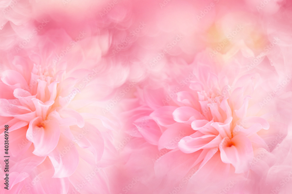 flower on bokeh background for beauty products flower on bokeh background for beauty products