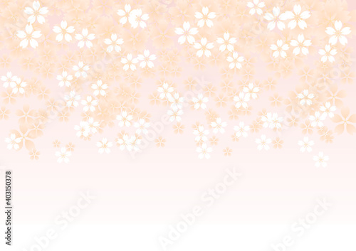 黄色の桜の花びら背景　横