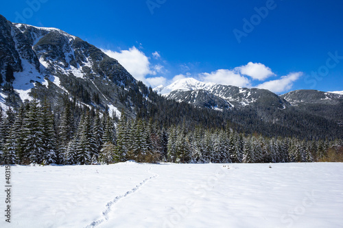 Cold sunny winter day in Tarta mountrains © magicphotography