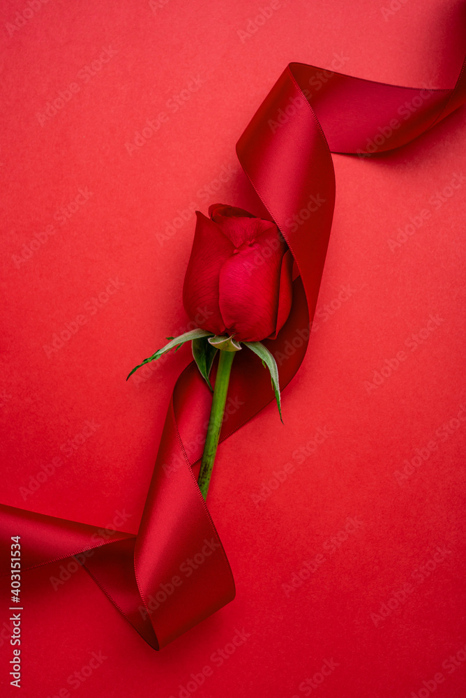 Valentines day red rose ribbon poster Valentines day red rose ribbon poster
