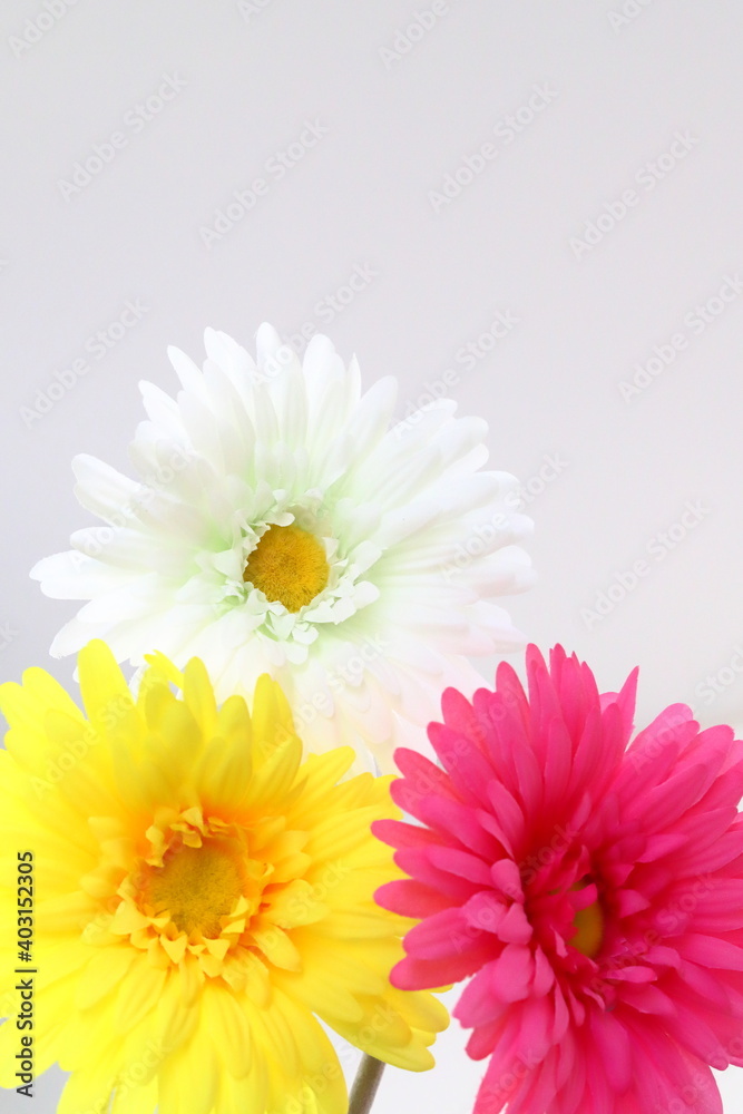 綺麗に咲いた花 綺麗に咲いた花