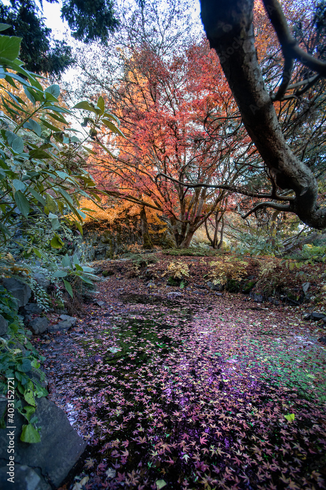 path in park