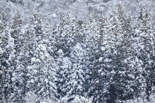 雪景色 冬 大雪 イメージ