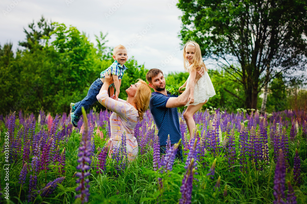 Fototapeta premium Family mom, dad, son and daughter in a blooming field with purple Lupin in a blooming field. Parents hold children in their arms. Lupin flowers are blooming.