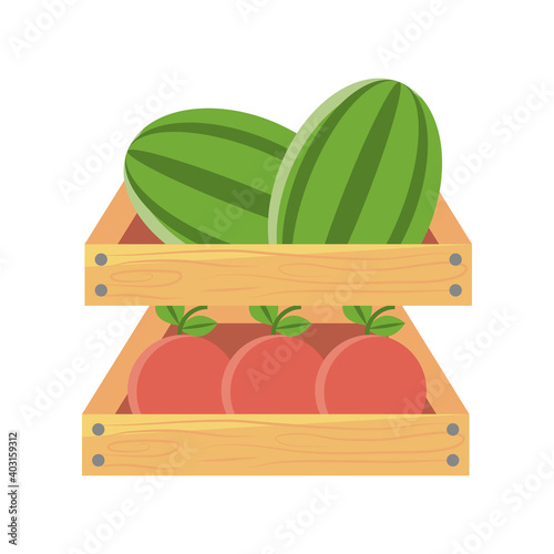 organic food wood shelf with fresh watermelon and tomatoes