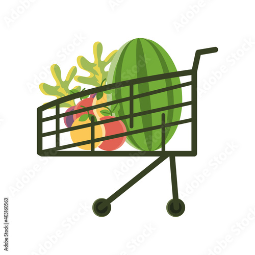 organic food shopping cart market with fresh fruits
