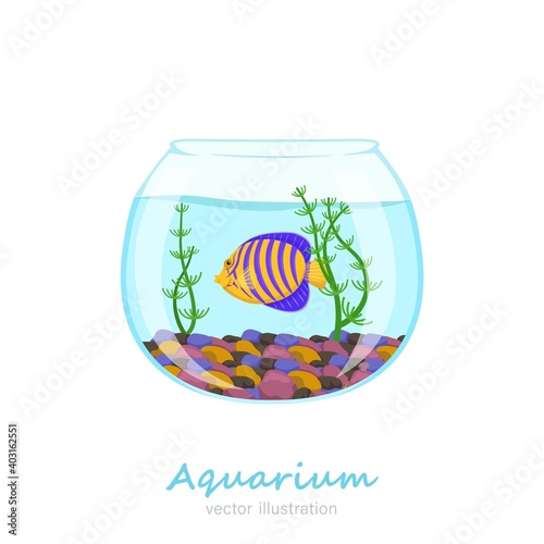 Vector aquarium image
