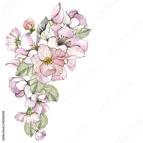 Wallpaper Mural watercolor flowers branch Torontodigital.ca