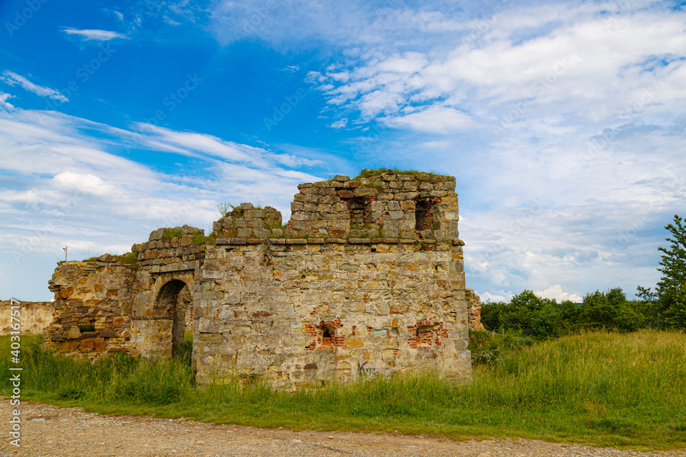 Wall of ancient ruins of castle among green grass. Ukrainian architectural  landmark.