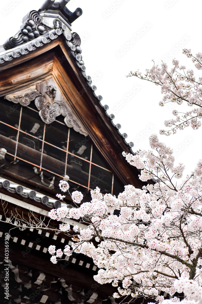 Sakura blossom with Nanzenji-Temple, one of the famous Japanese temple in the spring Sakura blossom with Nanzenji-Temple, one of the famous Japanese temple in the spring