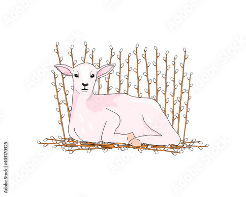 Pink little lamb lies on the branches of a willow. Hand drawing of an animal. Illustration in pastel shades.