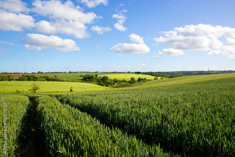 Paysage de campagne agricole en France.