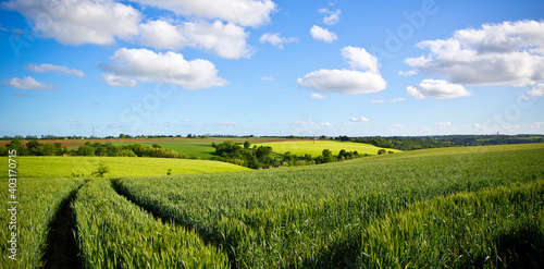 Foto Vue sur la campagne en France au printemps, paysage agricole à l'horizon