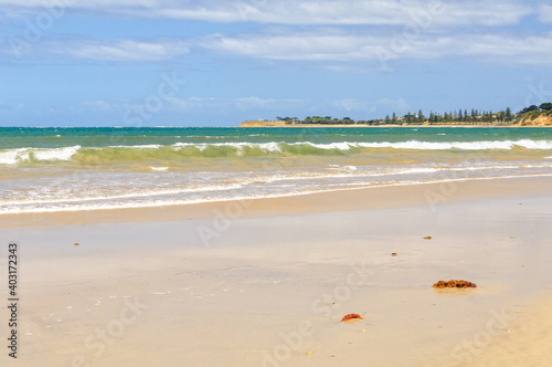 This beautiful stretch of beach was named after Andrew White, an English settler - Torquay, Victoria, Australia © lkonya