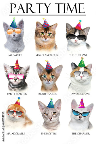 set of funny party cats