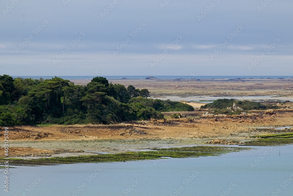 the river in the countryside