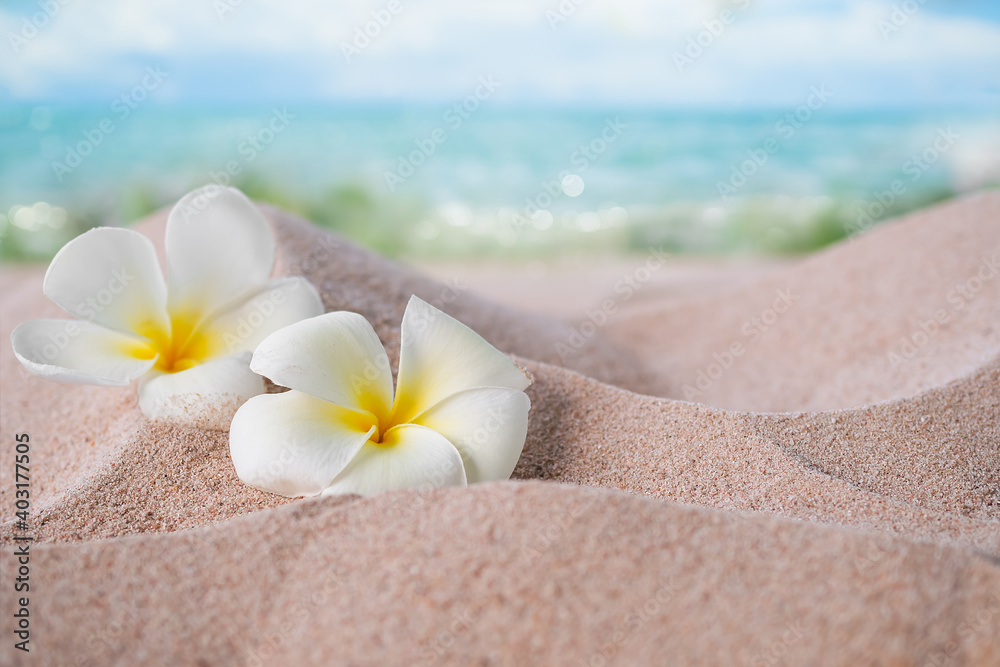 Aromatherapy spa concept. Plumeria flowers on sand beach at coast on blur blue sea and blue sky. Aromatherapy spa concept. Plumeria flowers on sand beach at coast on blur blue sea and blue sky.