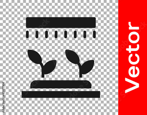 Black Automatic irrigation sprinklers icon isolated on transparent background. Watering equipment. Garden element. Spray gun icon. Vector.