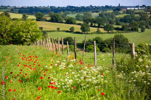 Fototapeta Naklejka Na Ścianę i Meble -  Campagne au printemps, paysage de France.