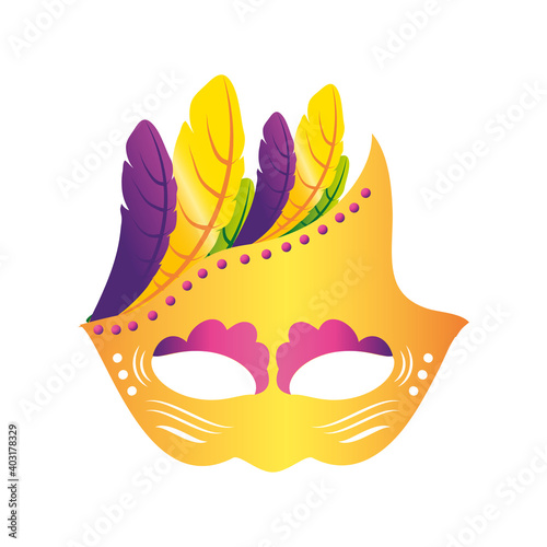 mardi gras carnival elegant mask with feathers decoration