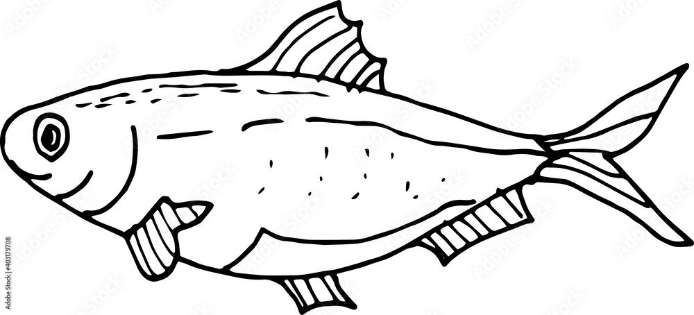 Sea food, fish, shellfish, crabs, delicacies. Graphic illustration hand-drawn, doodle, sketch, engraving. Print, textiles, paper.
Sea food, fish, shellfish, crabs, delicacies. Graphic illustration hand-drawn, doodle, sketch, engraving. Print, textiles, paper.