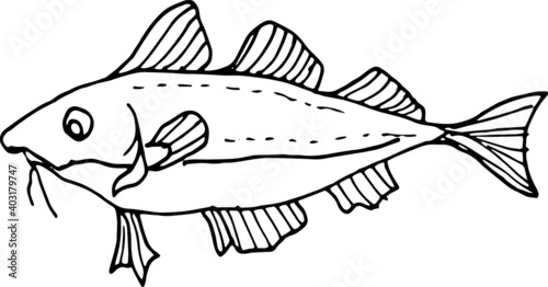 
Sea food, fish, shellfish, crabs, delicacies. Graphic illustration hand-drawn, doodle, sketch, engraving. Print, textiles, paper.