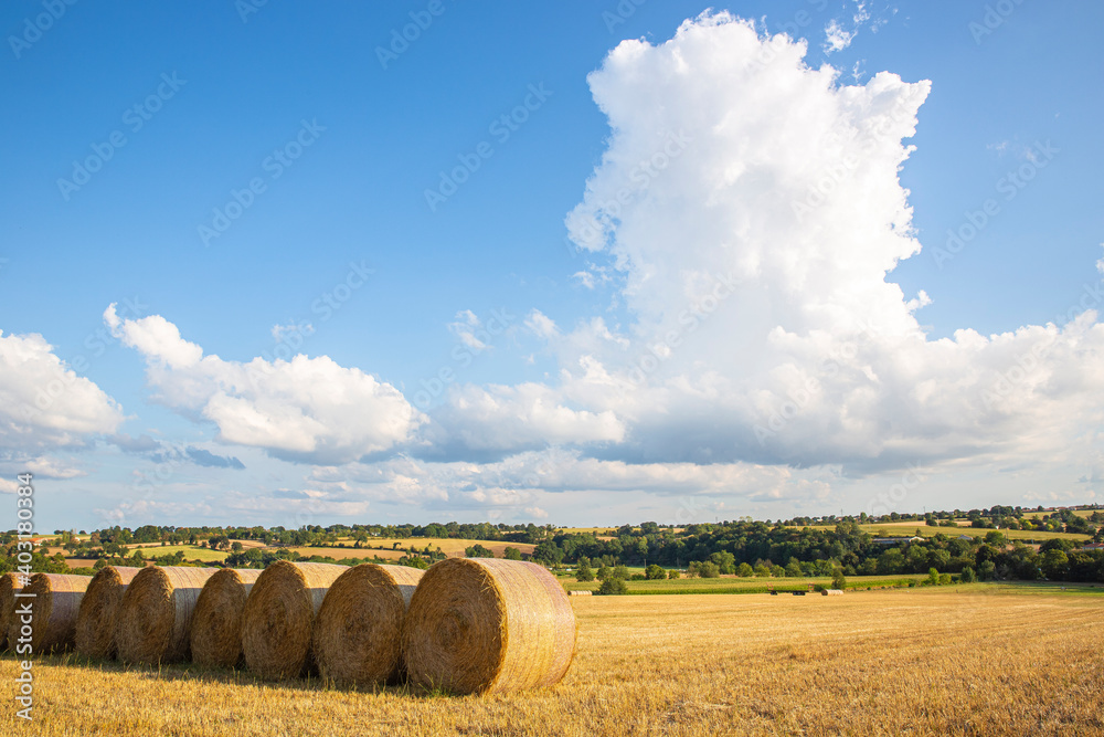 Meule de foin ou de paille en campagne, paysage agricole en France.
