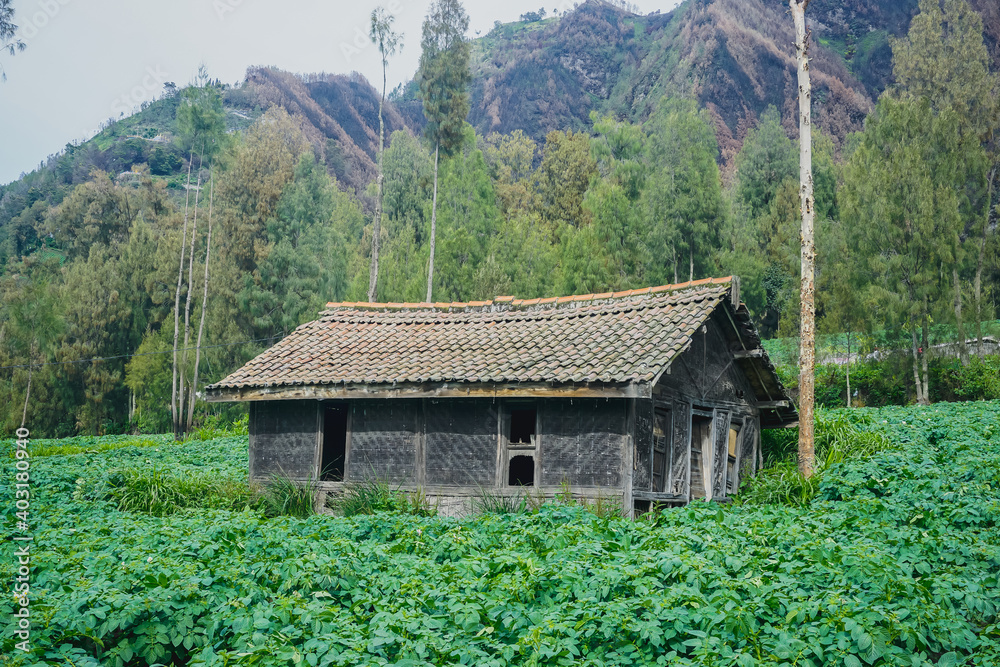 Old village house in Indonesia
