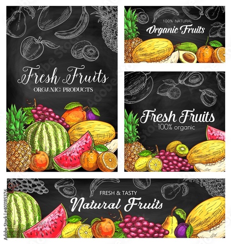 Fresh fruits vector sketch posters, natural pineapple, watermelon, apricot or grapes with plum. Organic pear, mango, orange and melon with kiwi, avocado. Hand drawn eco farm product natural assortment
