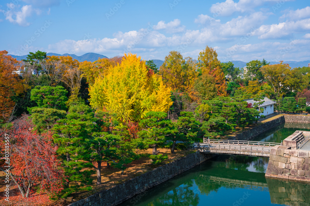 京都　二条城　本丸庭園の紅葉