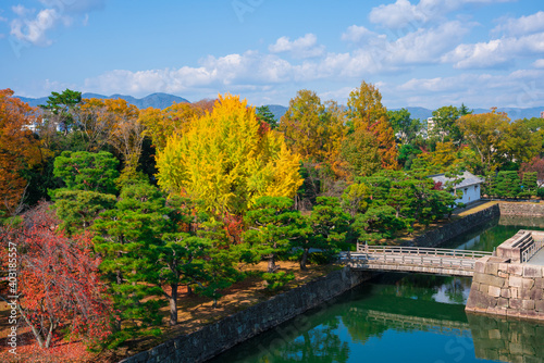 京都 二条城 本丸庭園の紅葉