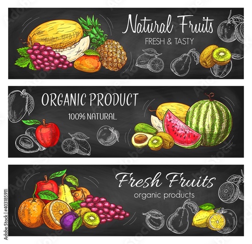 Natural fruits vector sketch pineapple, lemon, apple and grapes with melon. Tropical mango, avocado and watermelon. Hand drawn eco farm assortment pears and apricot with plums and oranges banners set