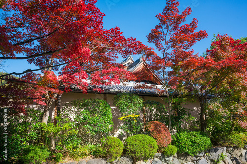 京都　等持院の紅葉