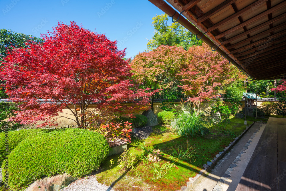 Obraz premium 京都 大徳寺の塔頭寺院 興臨院の紅葉