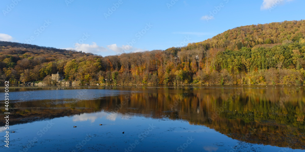 Wald mit Herbstfarben am Hengsteysee, Herdecke, Nordrhein-Westfalen, Deutschland, Europa