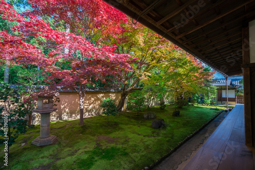 京都 大徳寺の塔頭寺院 興臨院の紅葉