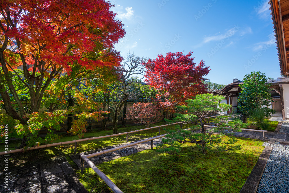 京都　大徳寺の塔頭寺院　興臨院の紅葉