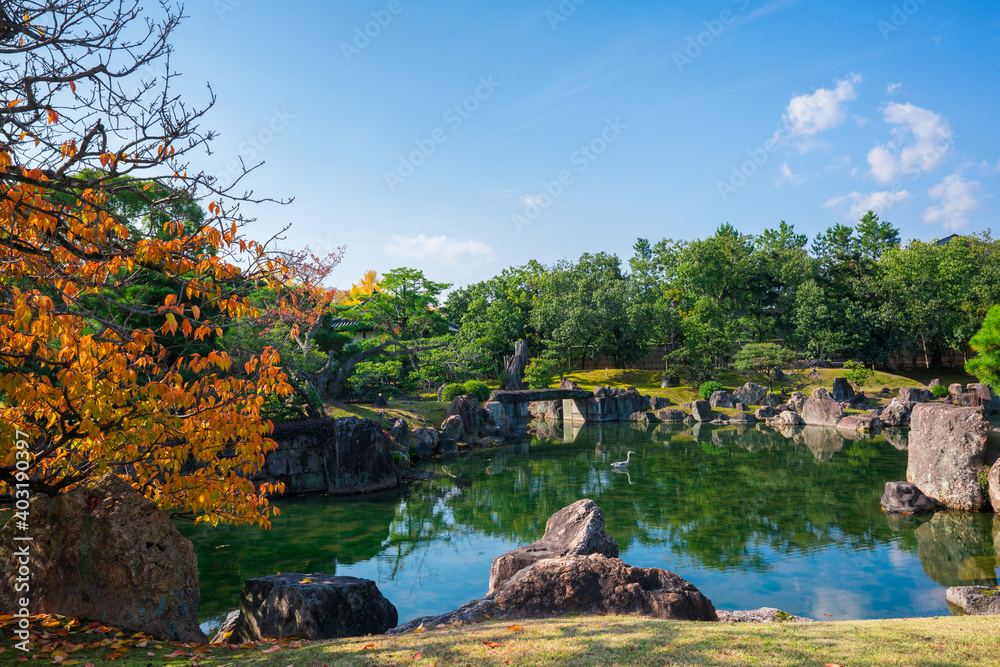 Fototapeta premium 京都 二条城の二の丸庭園 紅葉