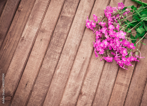 Garden flowers. Pink Phlox on wooden table. Vintage floral background. Copy space 