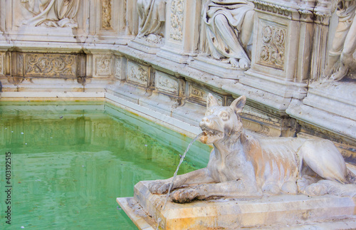 She-wolf statue of Fonte Gaia fountain in Piazza Del Campo square, Siena, Tuscany, Italy. Italian landmark built in 1419. The wolf is representing the mother-wolf of Remus and Romulus. photo