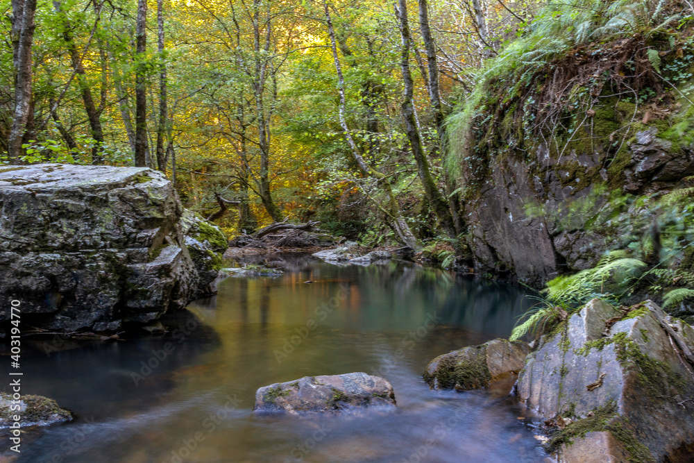 A small river descends calmly between rocks and a lush, dark forest. Quiroga River, O Courel