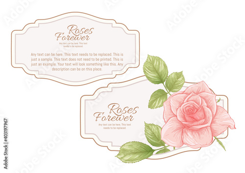 Set of face and back labels, stickers for food products or cosmetics in engraving, vintage, old, retro shabby chic style.. Stock vector illustration.
