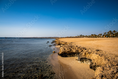 Summer beach with palm trees and pier in the sea. Warm summer morning on the egyptian beach