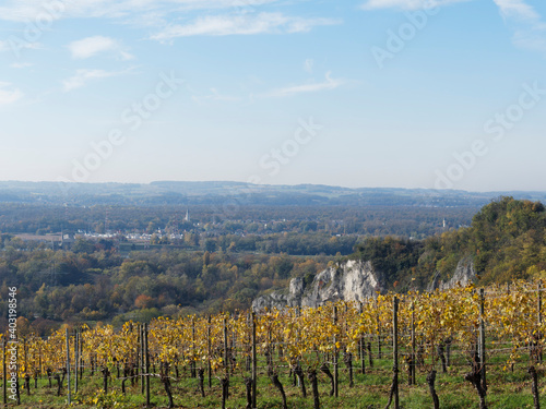 Istein im Baden-Württemberg. Herbstlandschaft. Reben auf den Hügeln mit Blick auf die Rheinebene und Vogesen