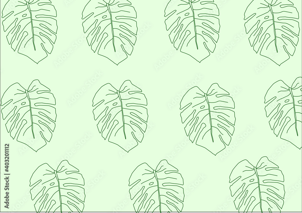 Monstera Plant Collage