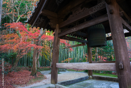京都　圓光寺の鐘楼と竹林と紅葉 © Route16