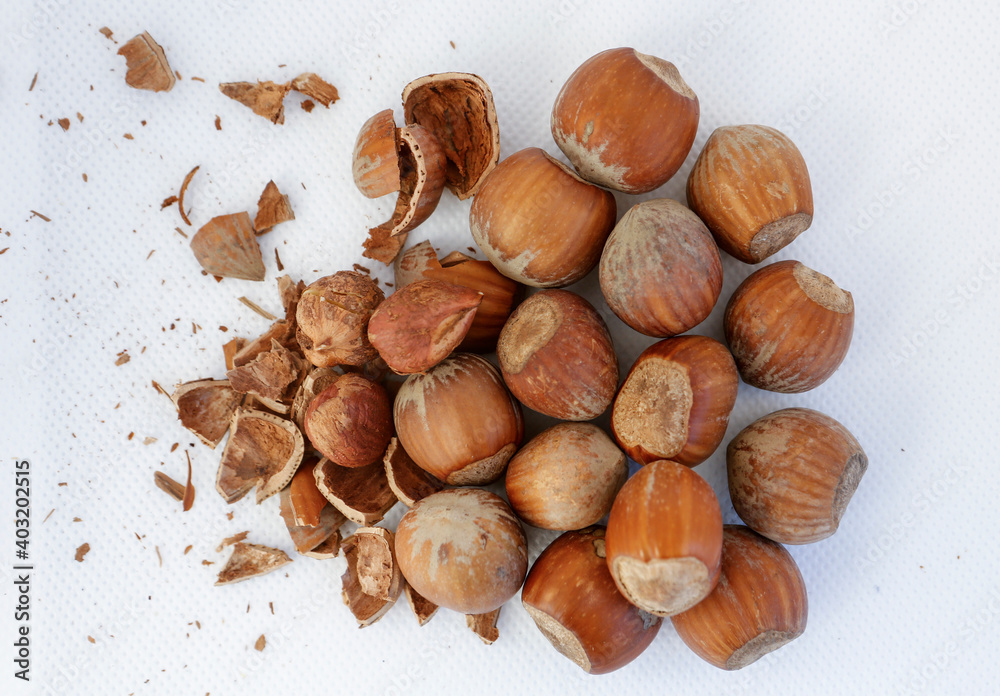 Hazelnuts, some of them shelled, on a white background. Hazelnuts, some of them shelled, on a white background.