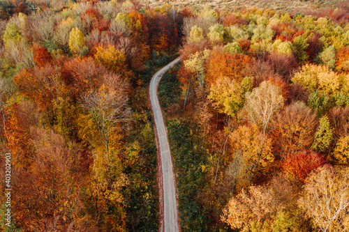 Autumn landscapes of Brzezany region, Ukraine photo